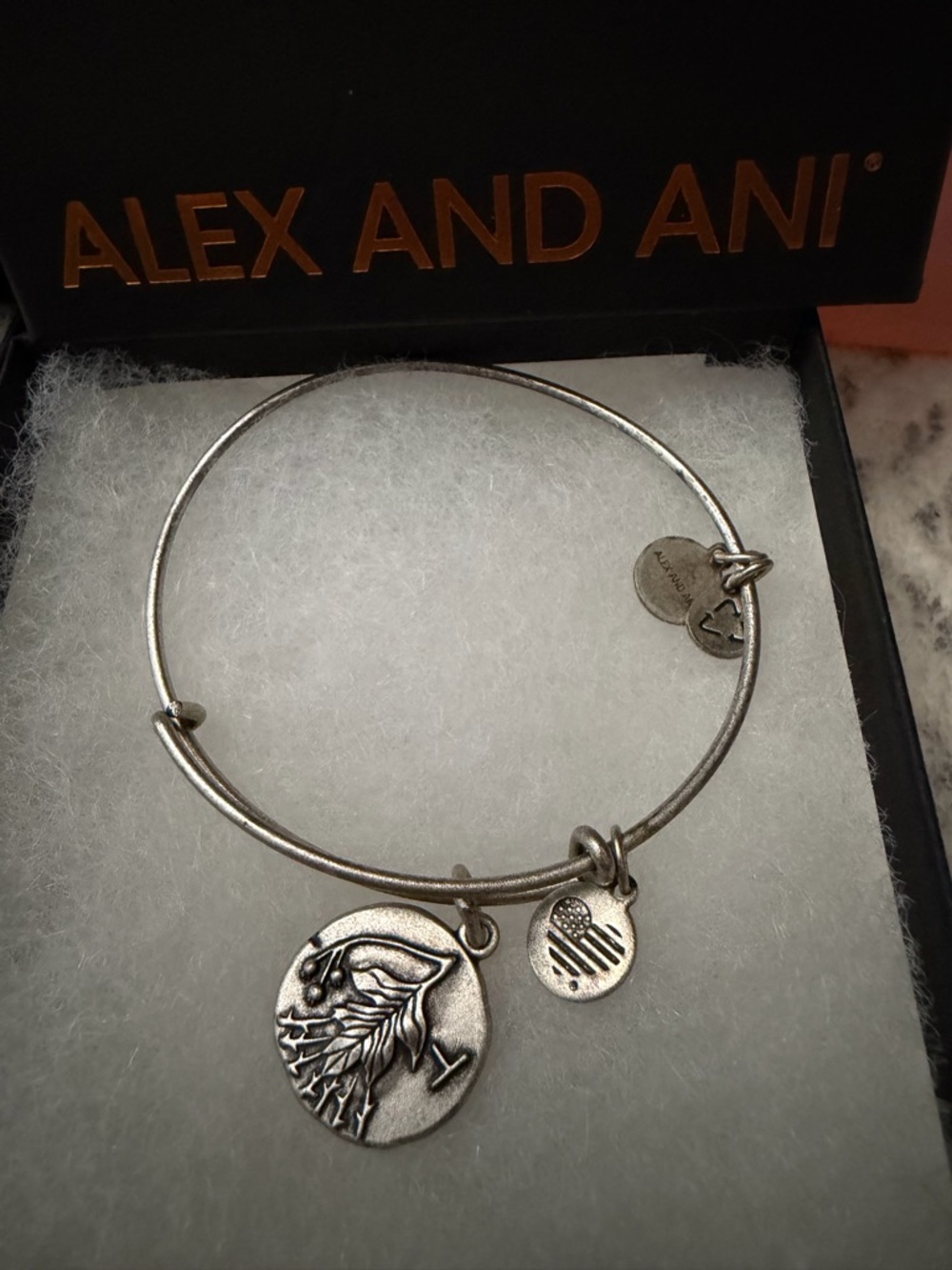 Alex and Ani Silver Charm Bangle with Leaf Coin Design